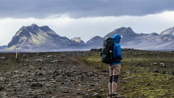 Nextcasino ◦ République française Sign Up Today