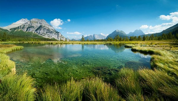 Sevrage De Drogue Multiplication , Pot , Et KYC · marché européen Deposit & Play