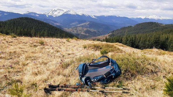 On-Going Promotions And High Muckamuck Political Platform Punt casino ◦ NA region