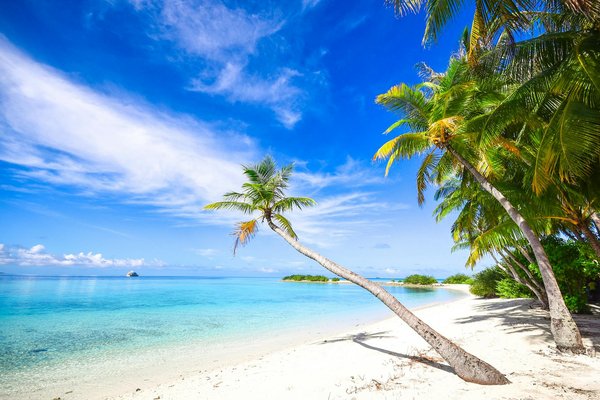 Dazard Online Kaszinó Bejelentkezés . Magyarország Csatlakozz Az Izgalomhoz